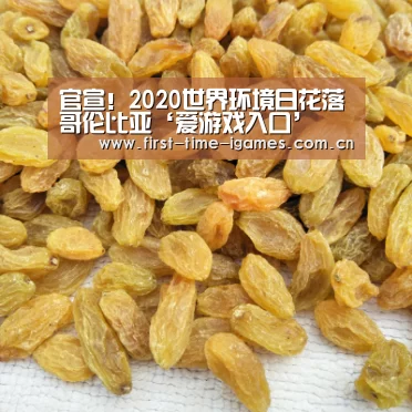 爱游戏全站